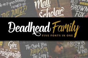 Deadhead Typeface Family Font Download