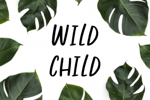 Wild Child Font Download