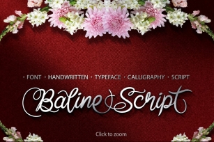 Baline Script Typeface + Bonus Font Download