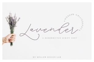 Lavender Script Font Download