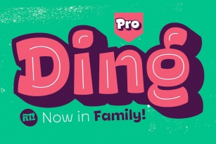 Ding Pro -50% All Family Font Download