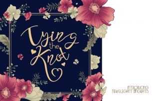 Tying the Knot Font Download