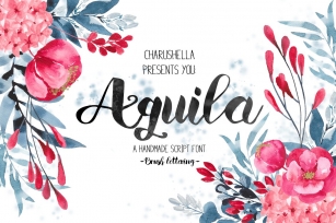 Aquila -Script font Font Download