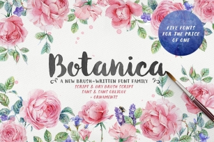 Botanica Brush Family (20% off) Font Download