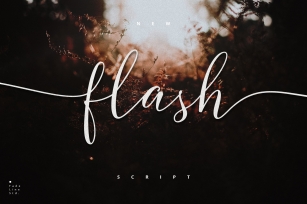 Flash Script Font Download