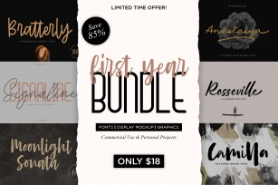 First Year Bundle !! JUST 15$ Font Download