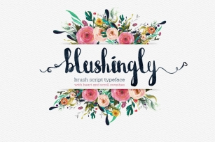 Blushingly Typeface Font Download