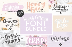 Brush Lettered Bundle by DTC Font Download