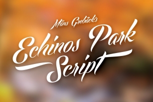 Echinos Park Script Font Download