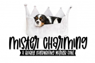 Mister Charming Font Download