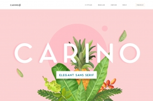 Carino Font Download