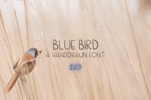 Blue Bird a Handwritten Font Download