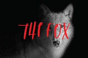 The fox font Font Download