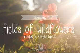 fields of wildflowers- hand font Font Download