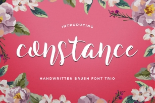Constance Brush Trio Font Download