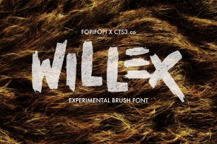 Willex Brush Font Download
