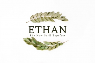 Ethan Serif 8 Family Pack Font Download