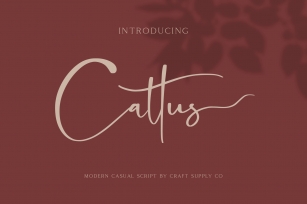 Cattus Font Download