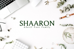 Shaaron A New Serif 2 Family Font Download