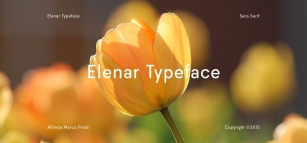 Elenar Typeface Font Download