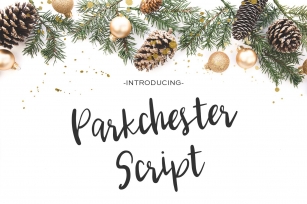 Parkchester Script Font Download