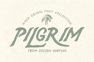 Pilgrim Collection (3) Font Download