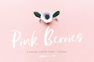 Pink Berries Script font + Extras Font Download