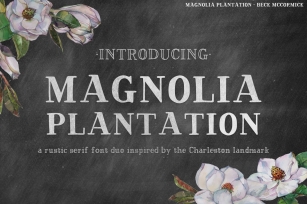 Magnolia Plantation Rustic Font Download