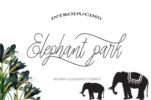 Elephant park font duo Font Download