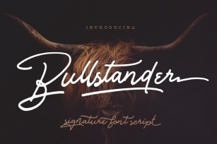 Bullstander 6 Set Font Download