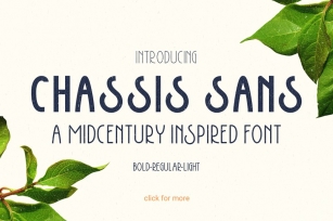 Chassis Sans Family Font Download