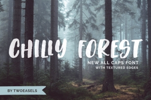 Chilly Forest // All Caps Textured Font Download