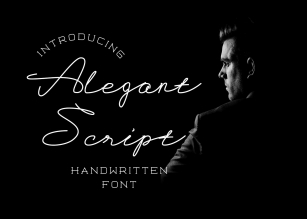 Alegant Script Font Download