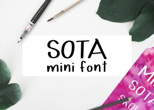 Sota Mini Font Download