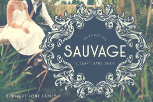 Sauvage Elegant Sans Font Download