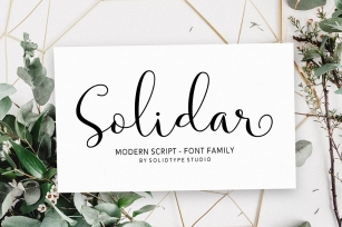 Solidar Family Font Download