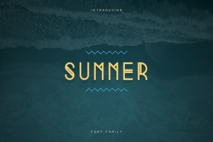 Summer Display family -70% Font Download