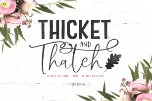 Thicket  Thatch Font Download