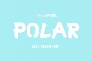 Polar Typeface Font Download