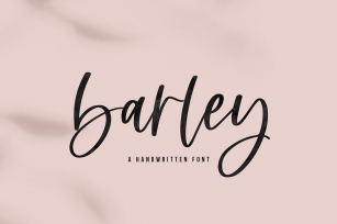 Barley Font Download
