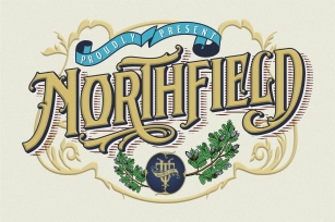 Northfield 30% OFF Font Download