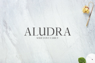 Aludra Serif 12 Family Pack Font Download