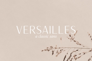 Versailles Font Download