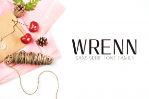 Wrenn Sans Serif 6 Family Font Download