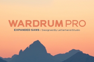 Wardrum PRO Sans Serif Font Download