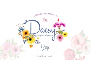 Daesy // Luxury Challigrapy Font Download
