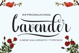 Lavender Font Download