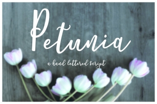 Petunia Script Font Download