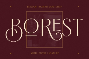 Borest Font Download