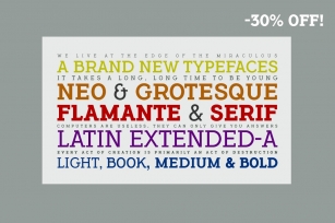 Flamante Serif -8 fonts- Font Download